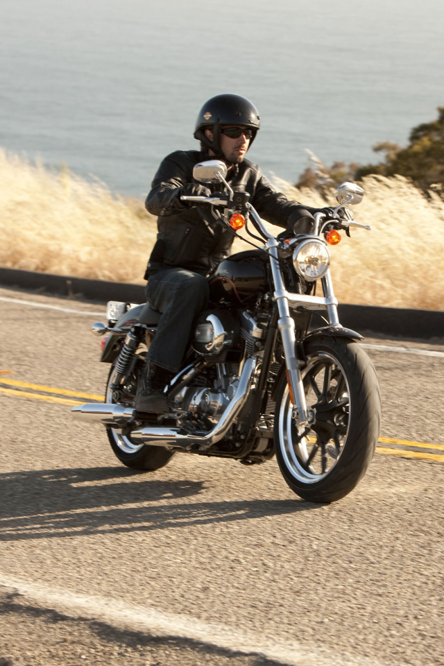 Невероятный мотоцикл Harley-Davidson XL 883L Sportster