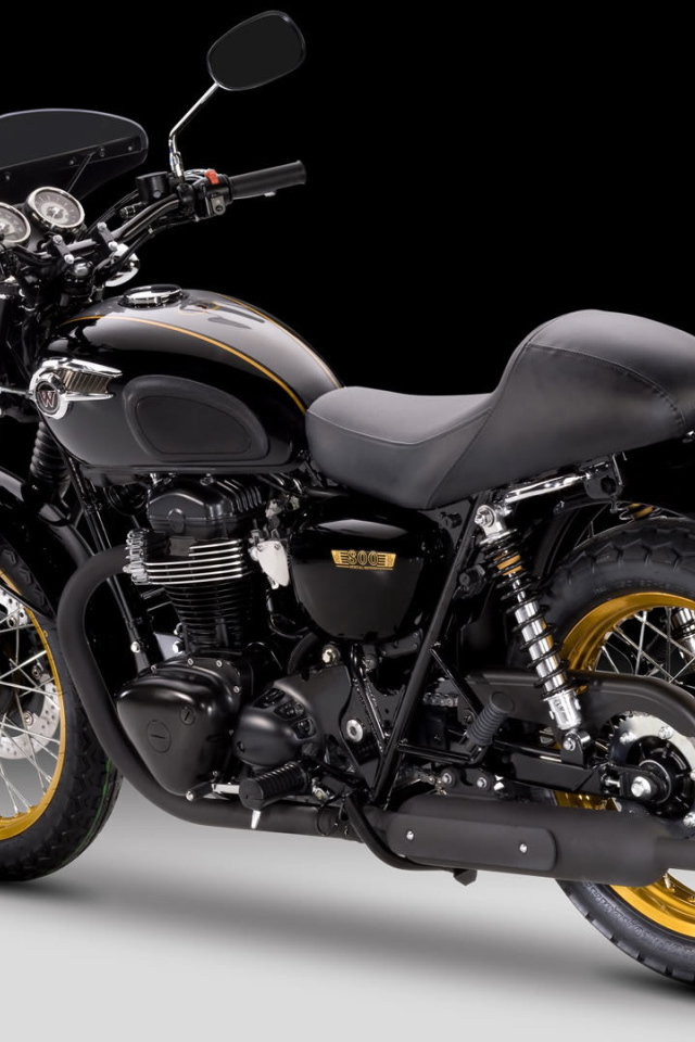 Невероятный мотоцикл Kawasaki W 800