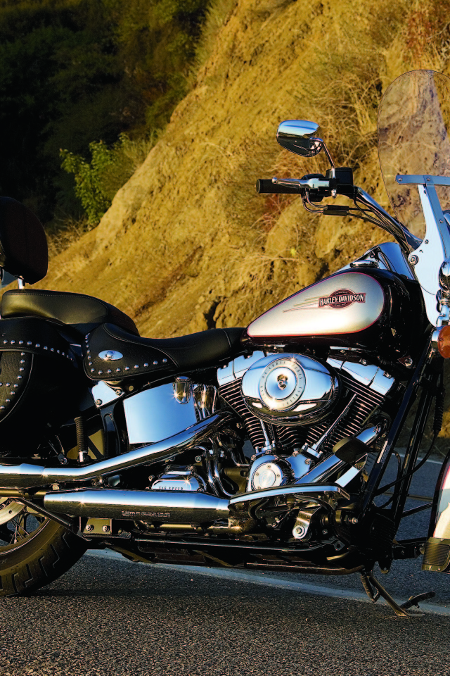 Невероятно быстрый мотоцикл Harley-Davidson Heritage Softail