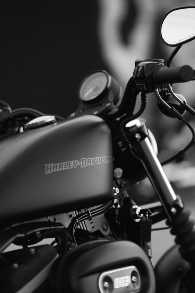 Мотоцикл модели Harley-Davidson XL 883N Sportster Iron