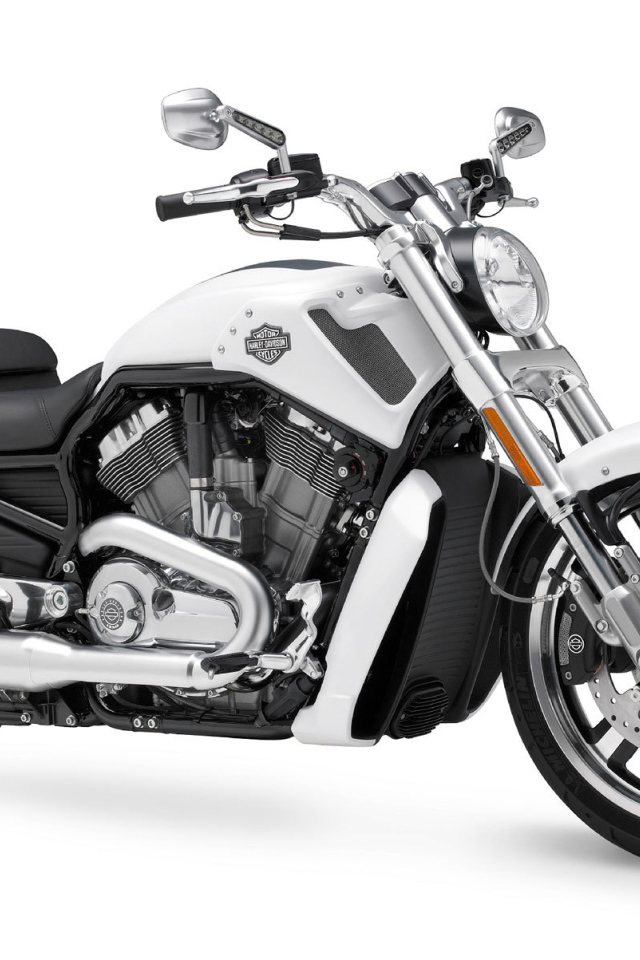 Новый мотоцикл на дороге Harley-Davidson V-Rod Muscle