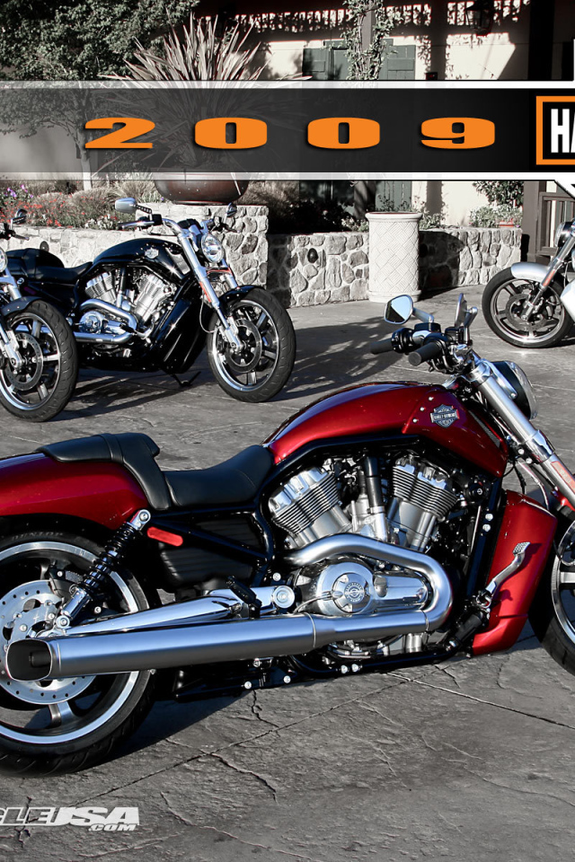 Новый мотоцикл Harley-Davidson V-Rod Muscle