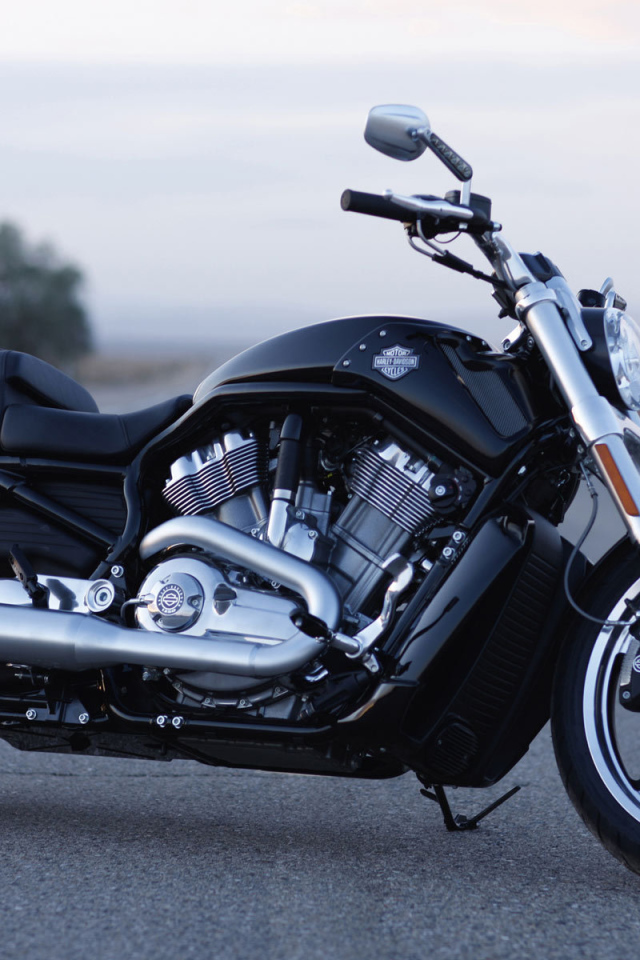 Популярный мотоцикл Harley-Davidson V-Rod Muscle