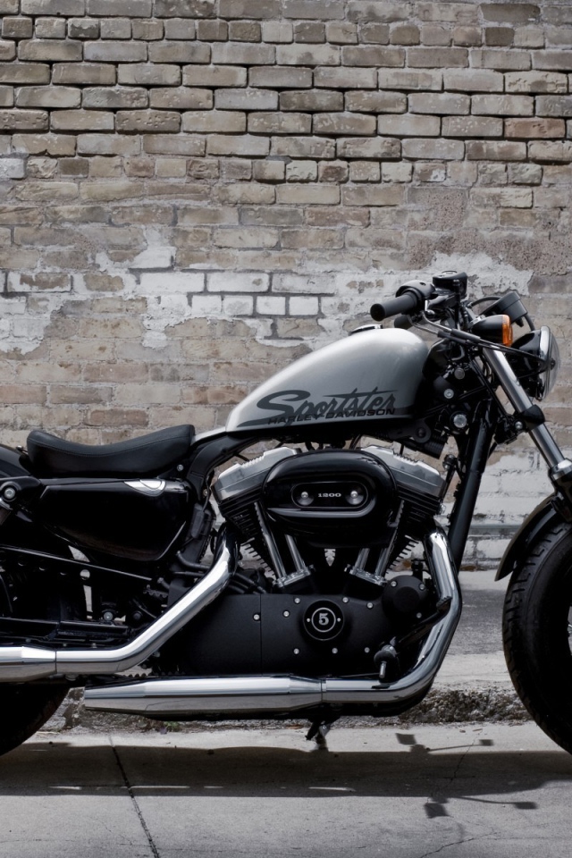 Популярный мотоцикл Harley-Davidson XL 1200X Sportster Forty-Eight