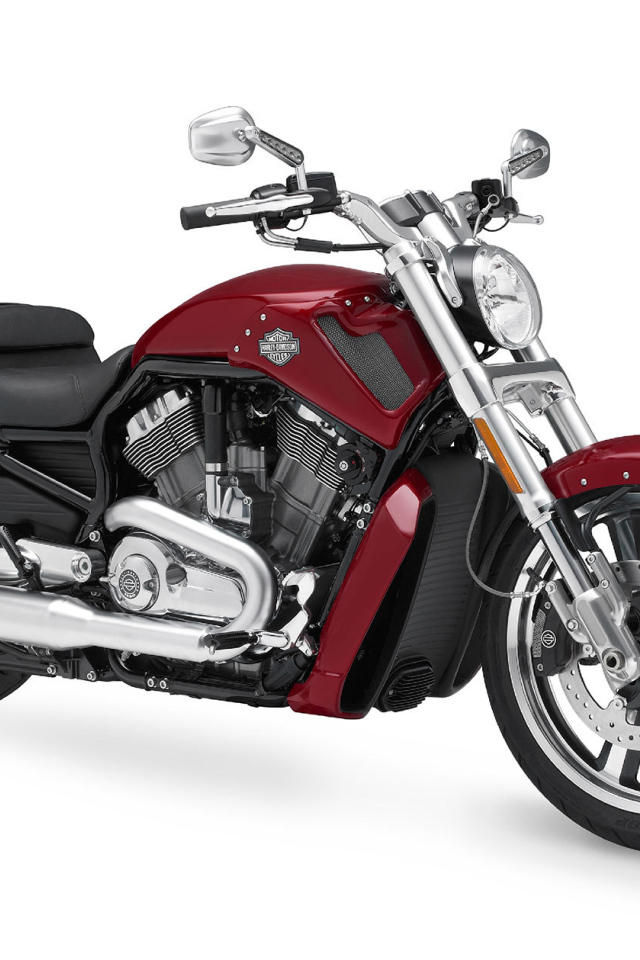 Надежный мотоцикл Harley-Davidson V-Rod Muscle