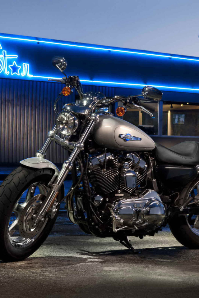 Надежный мотоцикл Harley-Davidson XL 1200C Sportster Custom