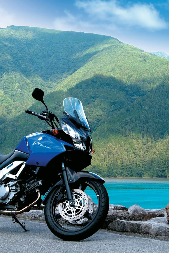 Мотоцикл Suzuki модели V-Storm 1000  DL