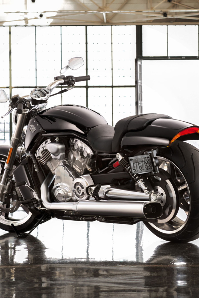 Тест-драйв мотоцикла Harley-Davidson V-Rod Muscle