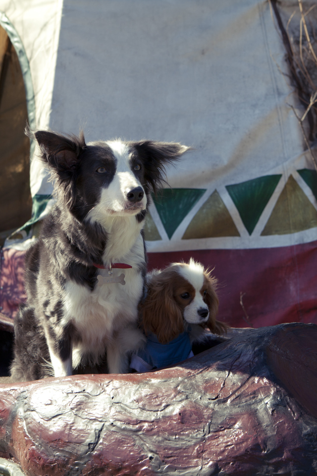 Герои фильма Ёлки лохматые 2014