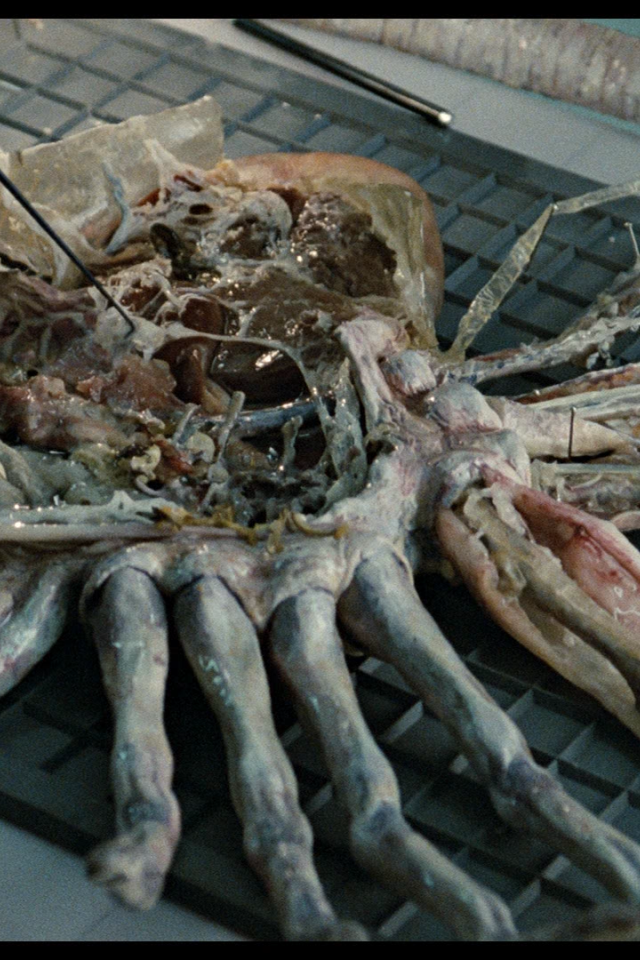 Кино 80-й пришелец