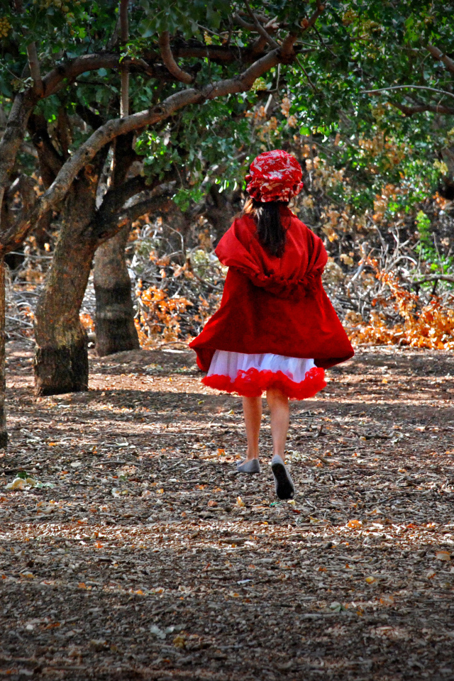 Фильм - В лес