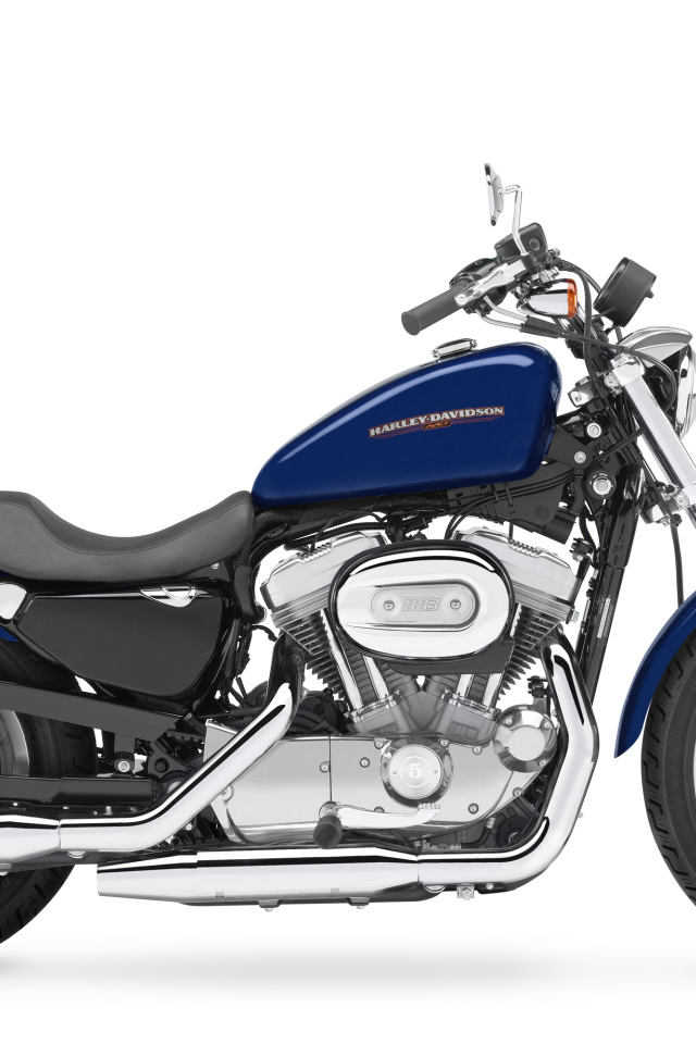 Невероятно быстрый мотоцикл Harley-Davidson XL 883R Sportster Roadster