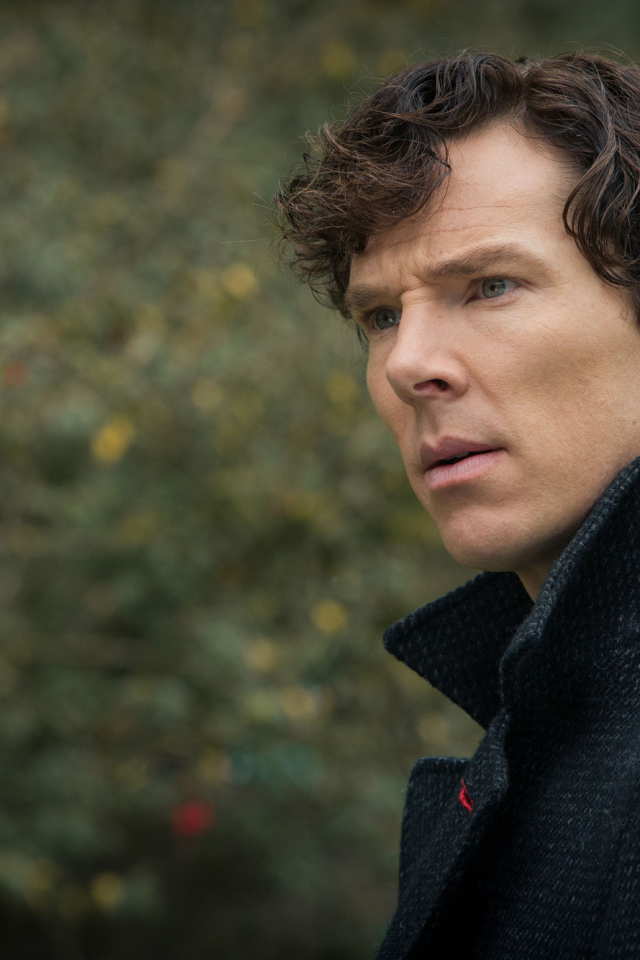 Задумчивый взгляд Шерлока