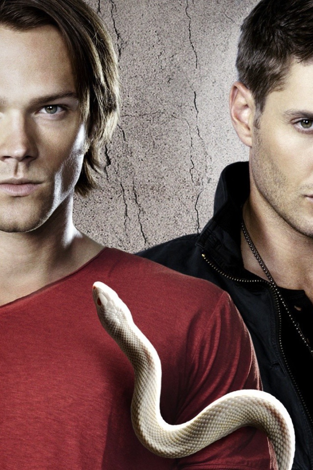 Сем и Дин из сериала Сверхъестественное