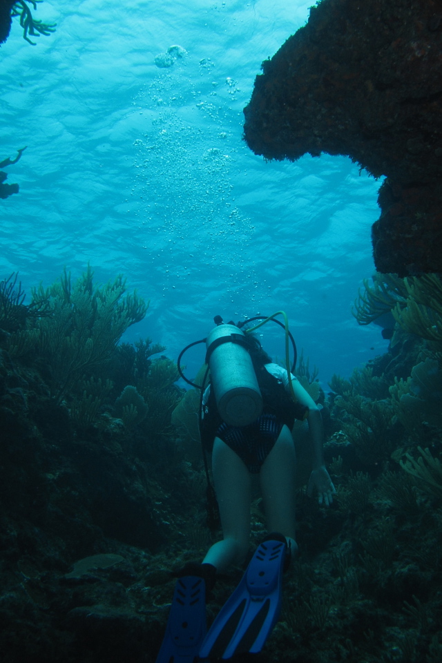 Тайна двух океанов