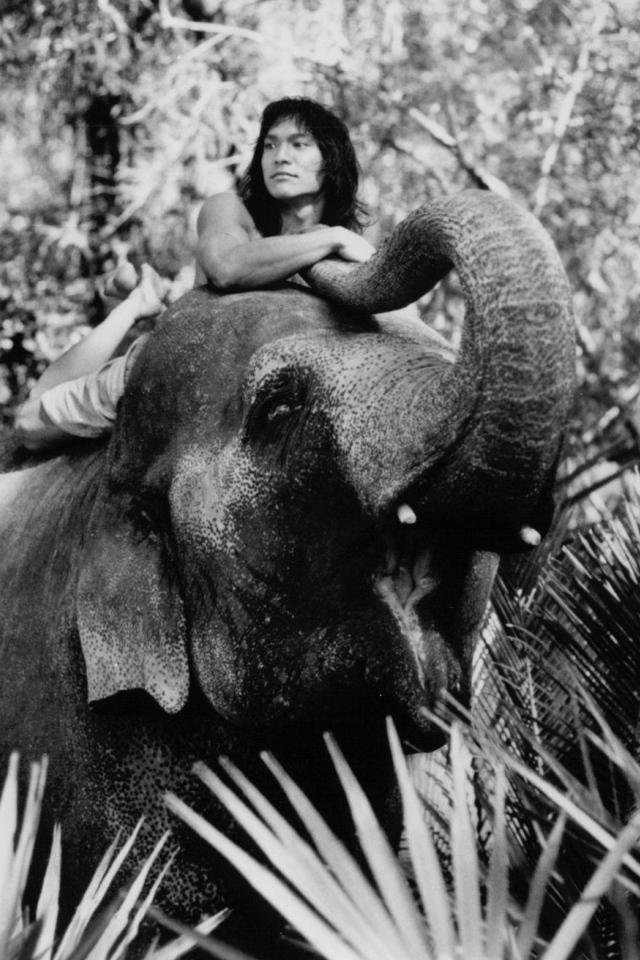 Книга джунгле