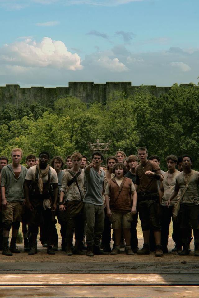 Бегущий по лабиринту  вход в лабиринт