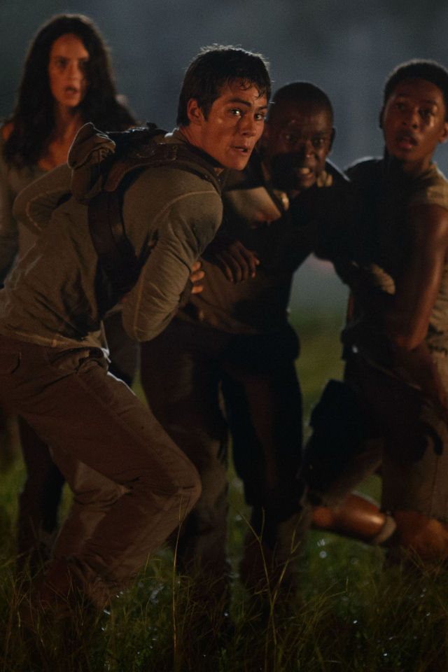 Бегущий по лабиринту на поле