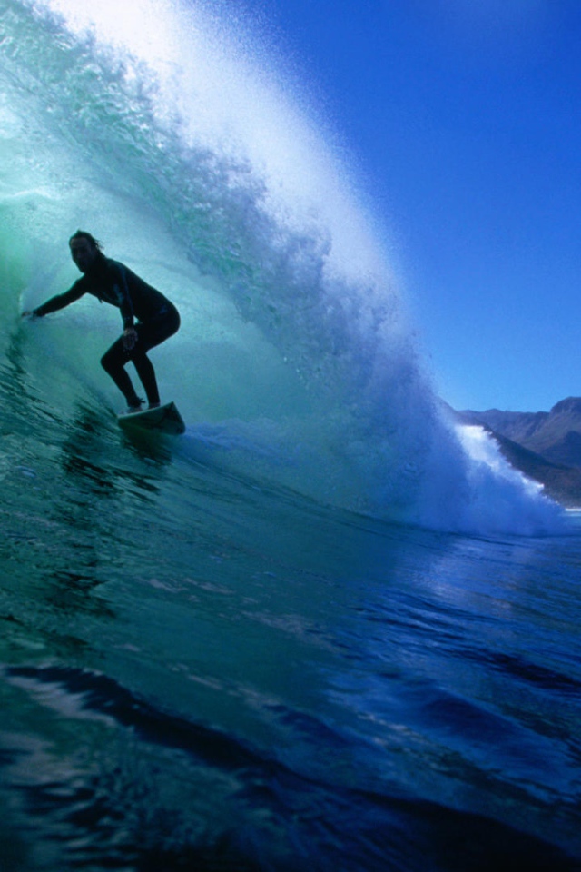   На гребне волны