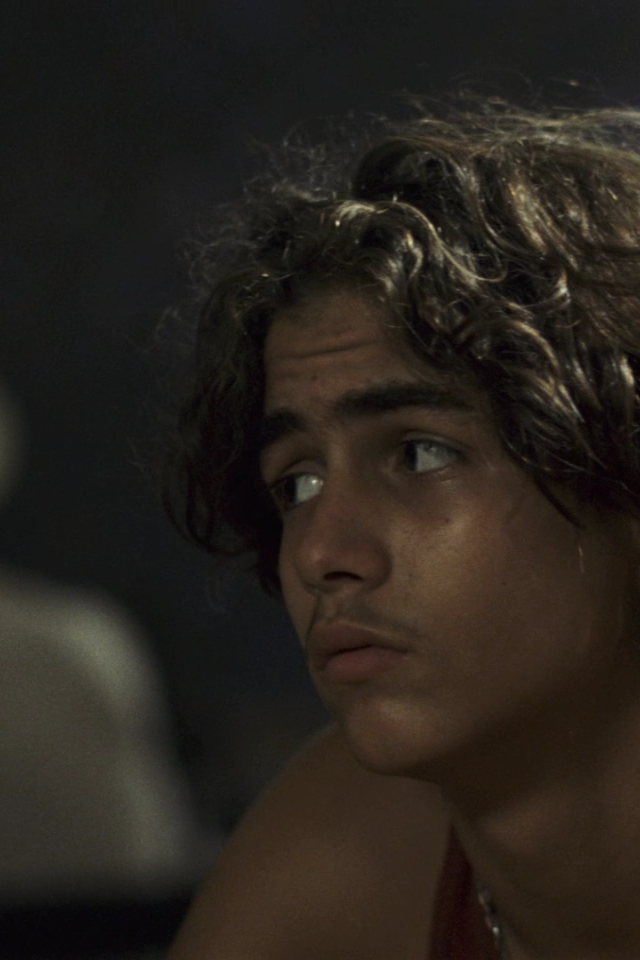 Алые маки Иссык-куля