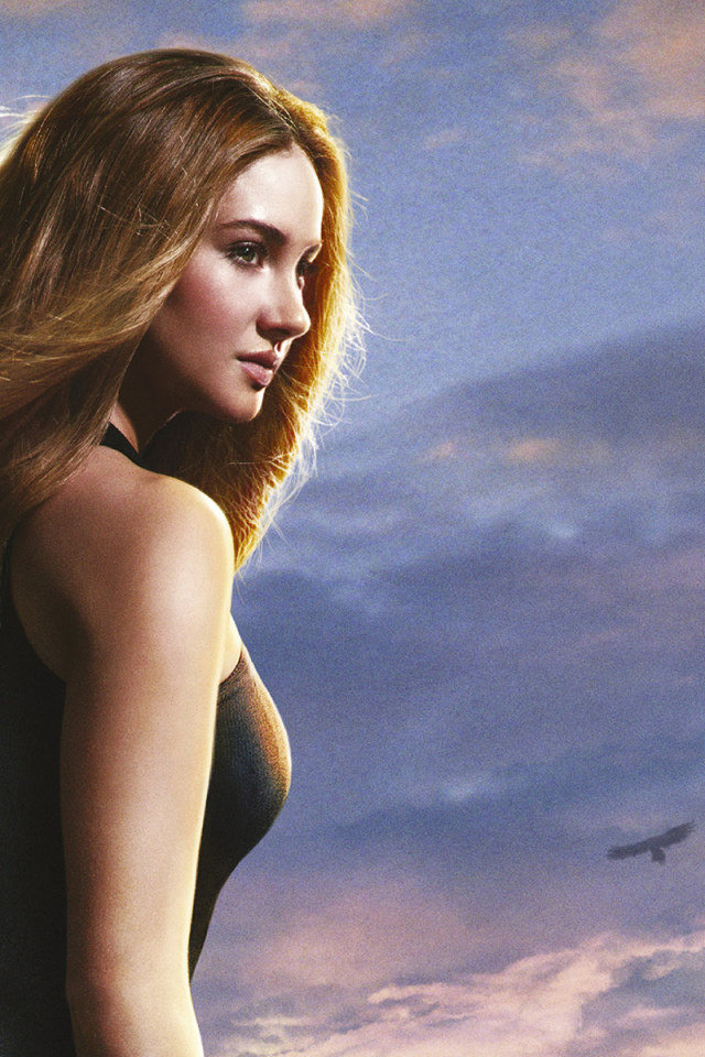 Отличный кинофильм Дивергент