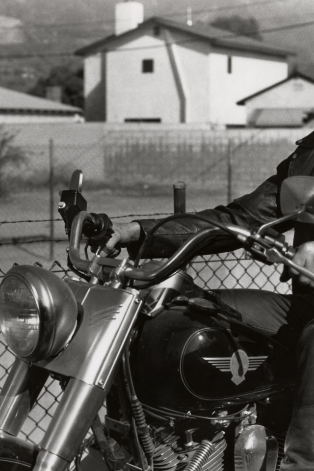 Терминатор 2 судный день Арнольд Шварценеггер