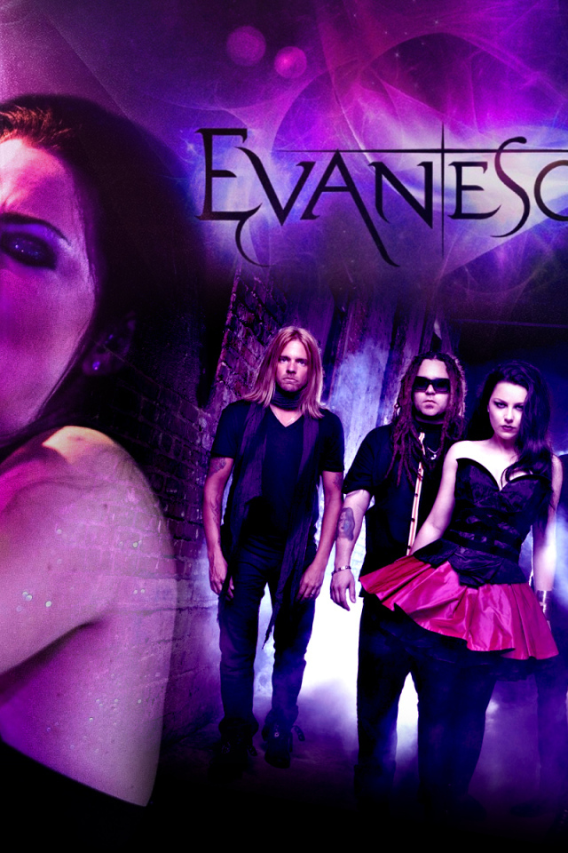 Concert of the band Evanescence