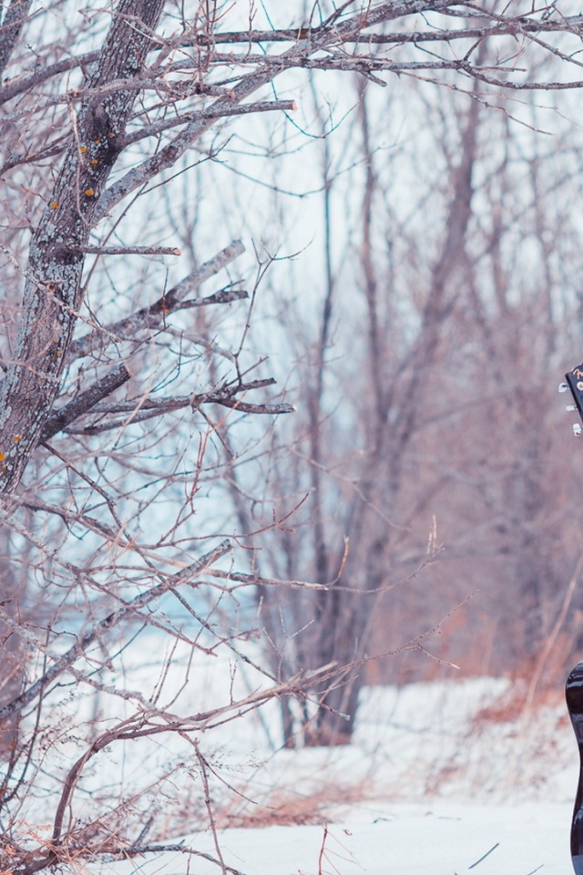 Девушка с гитарой в парке