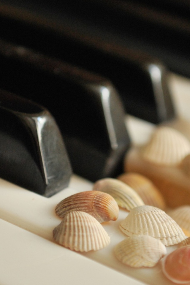 Keys with shells