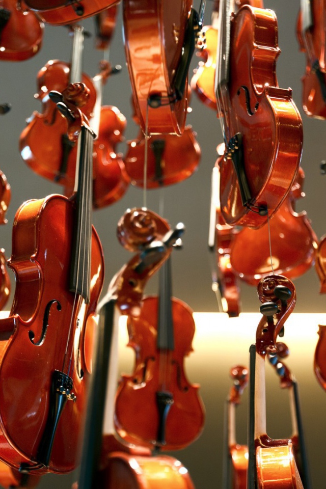 Дождь из скрипок