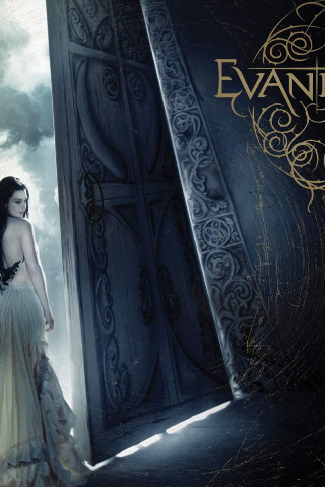 Постер группы Evanescence