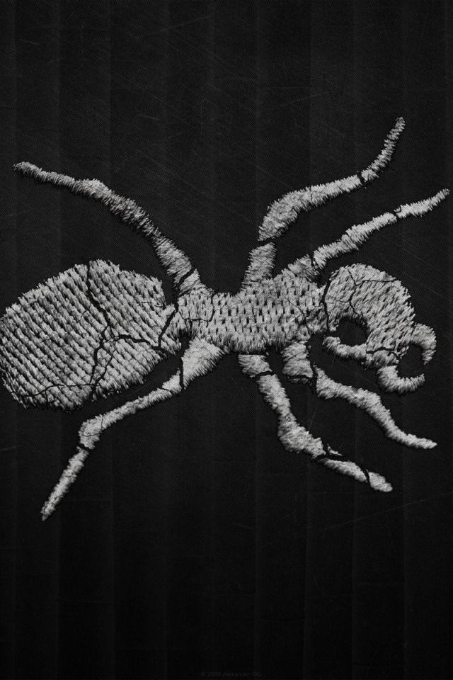 Муравей на темном фоне