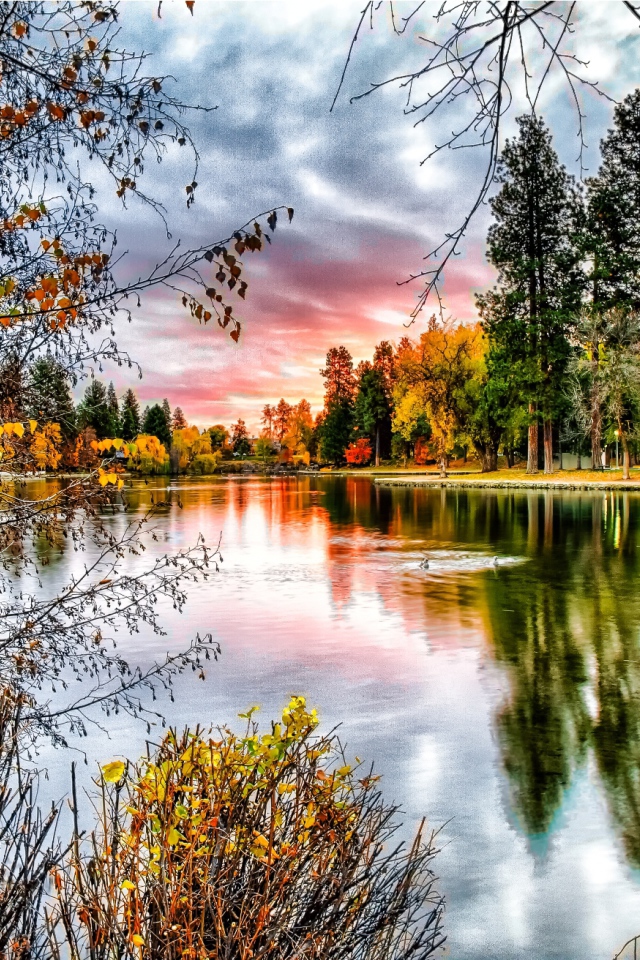 Березы у реки