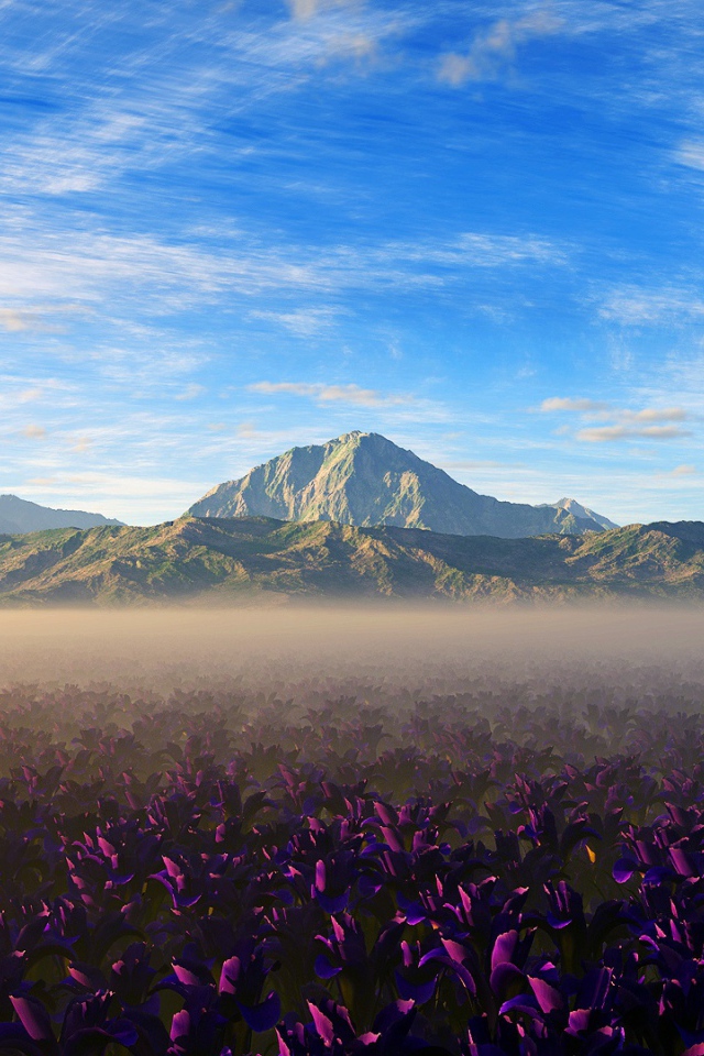 Цвета природы