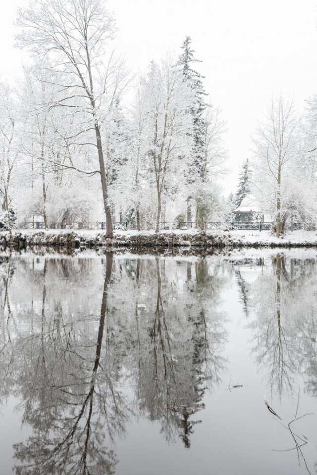 Oтражения деревъев в снегу