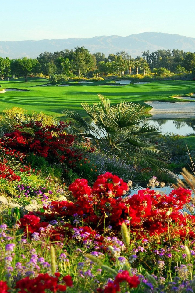 Сказочный сад