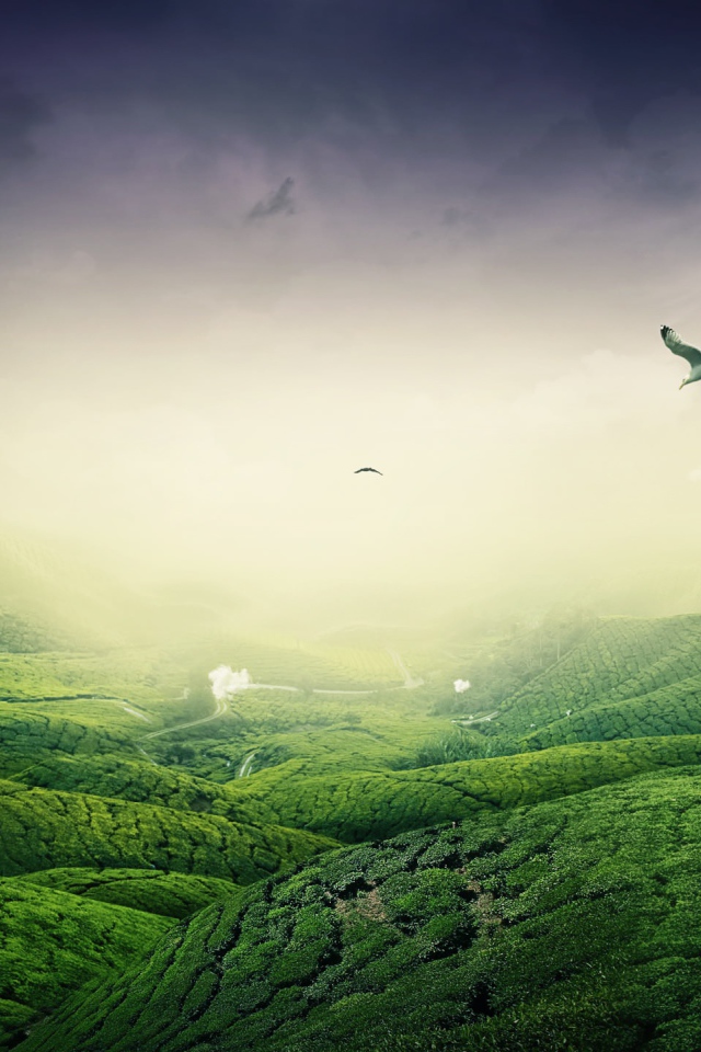 Зеленый пейзаж