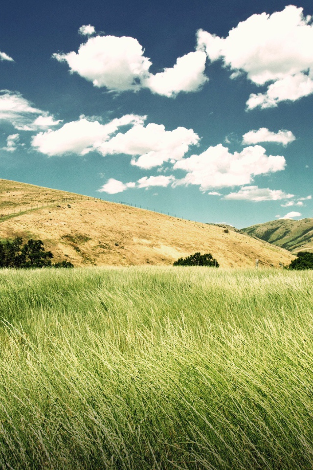 Зеленая долина