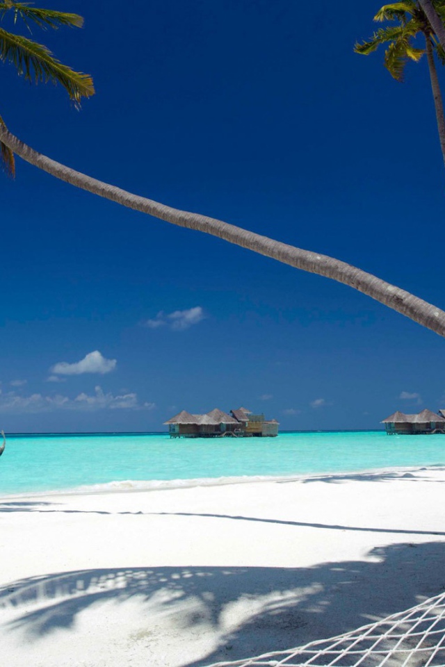 Гамак на лазурном берегу