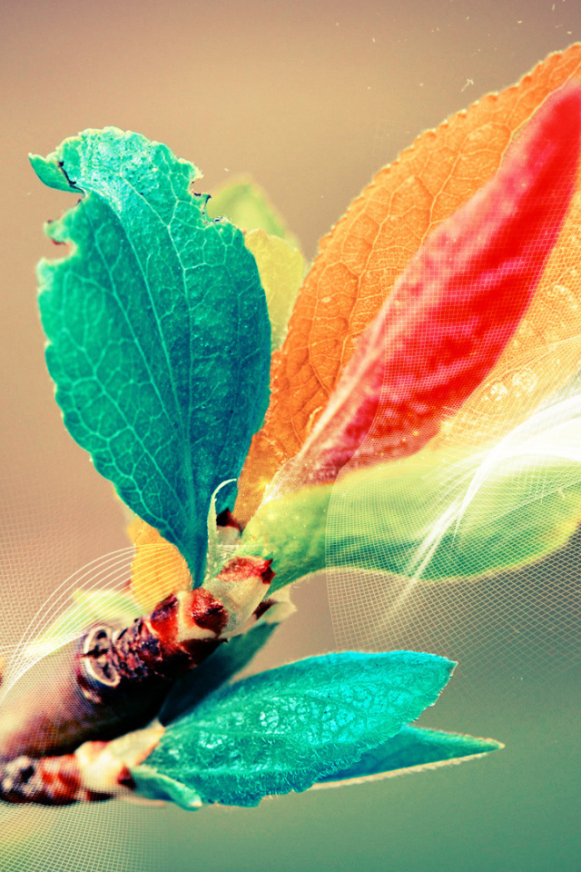 Листья в поляризованном свете