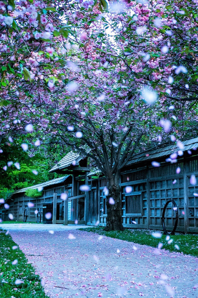 Парк в Канаде