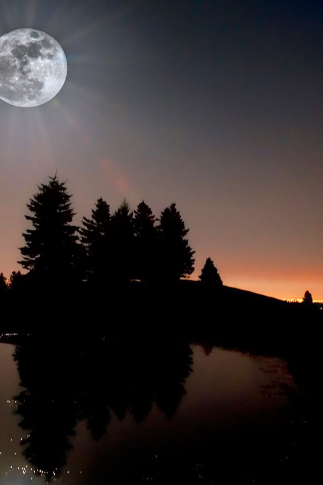 Лунный свет