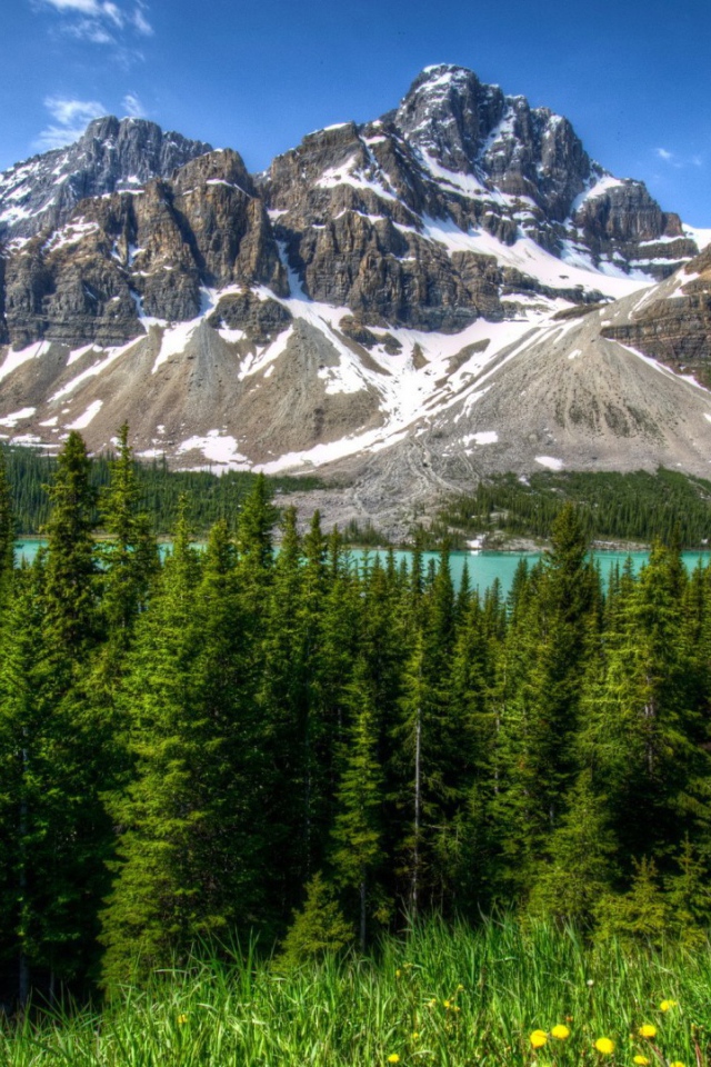 Вершины гор и одуванчики