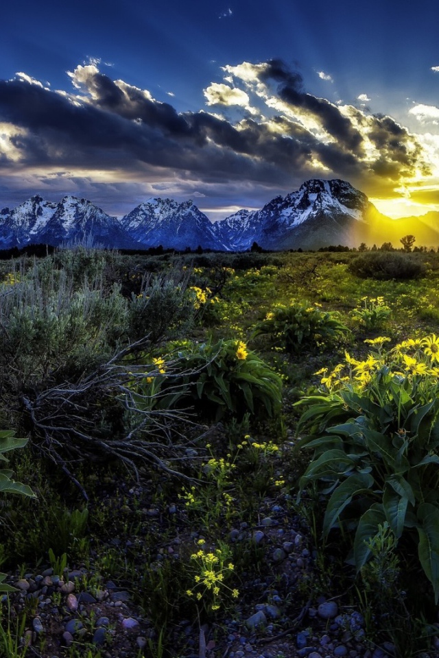 Подарок природы