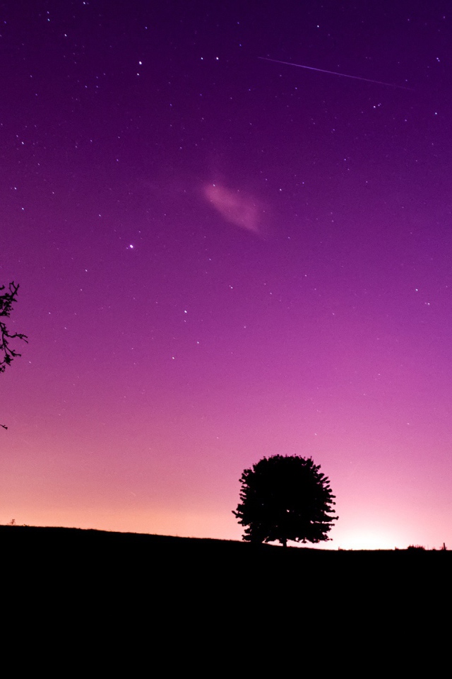 Розовая ночь