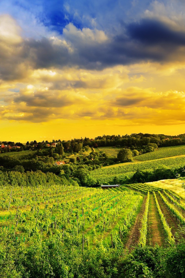 Pазработаная площадь полей