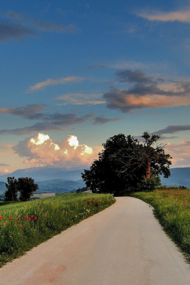 Дорога сельской местности