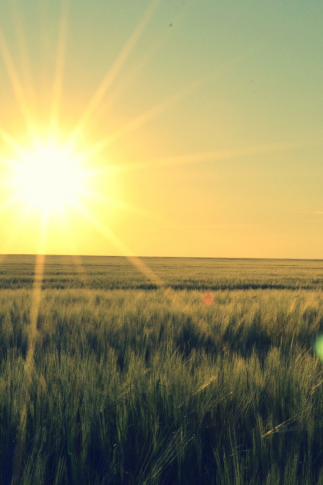 Закат в степи