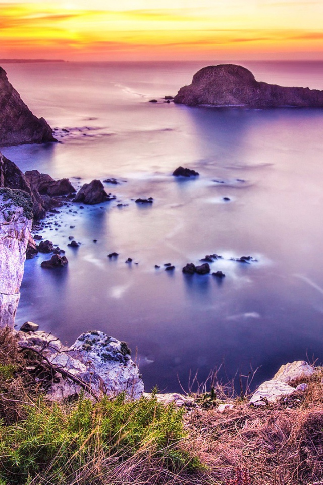 Розовая природа