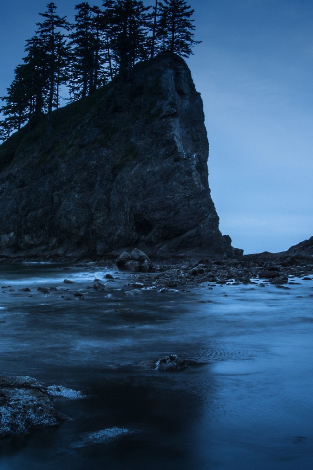 Деревья на прибрежной скале